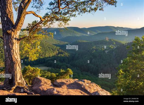 Lembach Castillo De Fleckenstein En La Reserva De La Biosfera Bosque