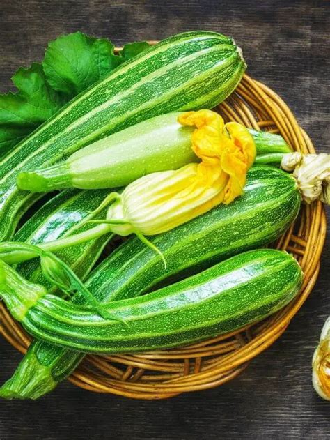 What is zucchini | Zucchini Benefits | Zucchini recipes