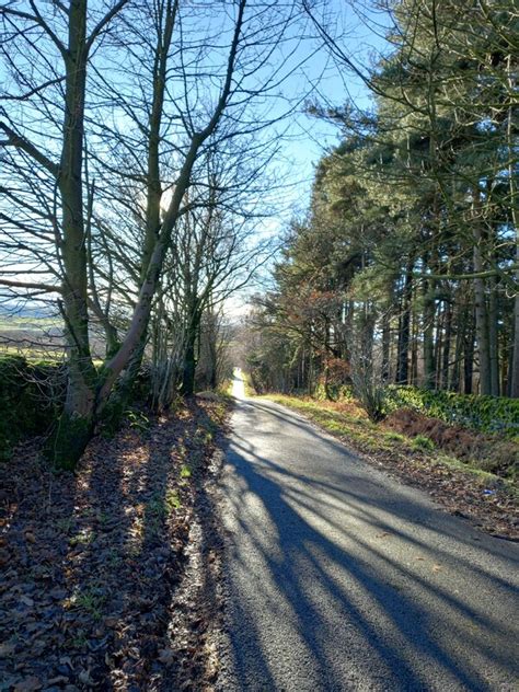 Winter Sunlight Across The Lane Gordon Hatton Cc By Sa 2 0