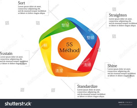 Infographic With 5s Method Performed By Colored Elements Stock Vector