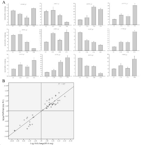 The Expression Of Favonol Related Genes Of T Hemsleyanum After 0 To 48