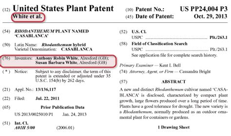 How To File A Plant Patent In 5 Steps | Bold Patents