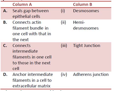 Previous Year Questions Pyq December Csir Net Life Sciences