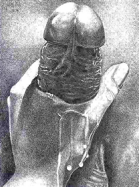 Cartoons Pencil Sketches ZB Porn