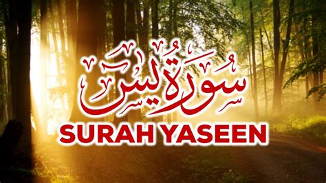 Surah Yasin Yaseen By Mishary Rashid Alafasy With Arabic Text 036 سورۃ یس Youtube