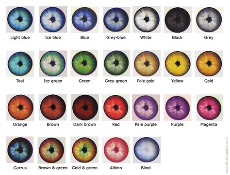 8 Types Of Cat Eye Colors And Their Rarity With Pictures Excited Cats Cat Eye Color Chart Cat