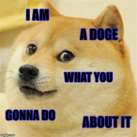 Doge Meme Imgflip