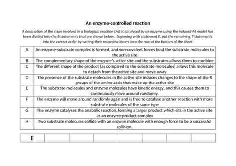 The Action And Specificity Of Enzymes Edexcel Int A Level Biology