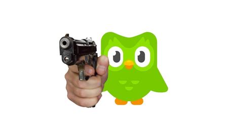 Duolingo with gun Memes - Imgflip