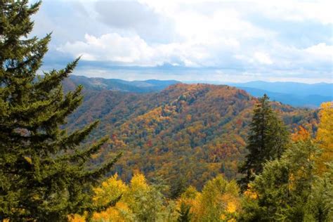 Gatlinburg Tn Blog Deals Attractions And Things To Do