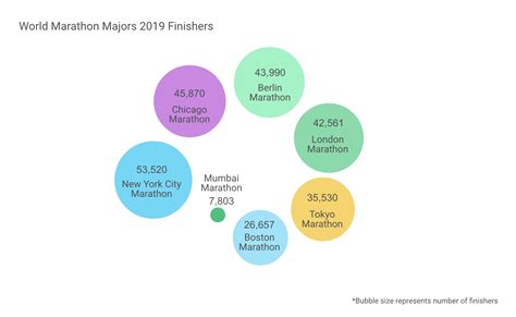 Tata Mumbai Marathon 2020 TMM In Numbers