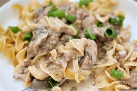 Beef Stroganoff Recipe With Ground In Slow Cooker Besto Blog