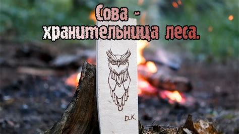 #выжигание #творчество #укрытие Сова - хранительница леса - YouTube