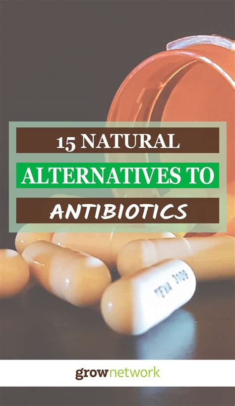 15 Natural Antibiotic Alternatives The Grow Network Natural