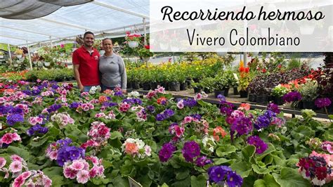 Hermoso Vivero Colombiano Lleno De Plantas Asombrosas Vivero La