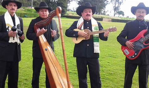 Grupo Llanero Y Serenata De Musica Llanera Conjuntos Llaneros