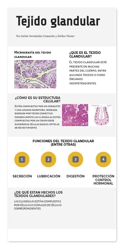 Tejido Glandular Bio