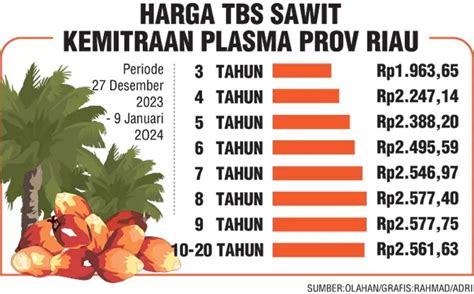 Harga Tbs Sawit Riau Naik Jadi Rp Per Kg Riau Pos