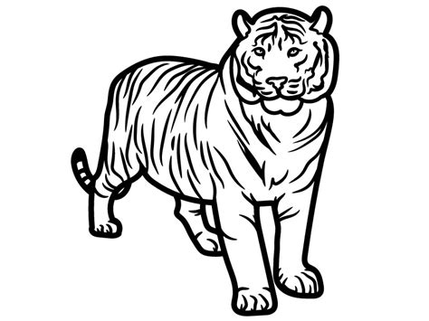 15 Best Tiger Coloring Pages for Kids and Adults in 2023