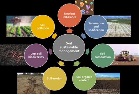 Sustainable Soil Management And The Factors Of Soil Quality Download