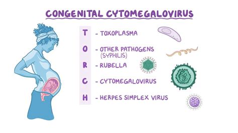 Partners In Care Cytomegalovirus (CMV) Is Treated In The…, 60% OFF