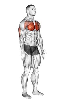 Isometric Chest Squeeze - Video Guide | Lyfta