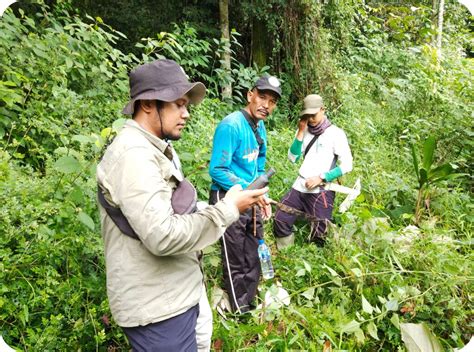 Sumatera Hijau Lestari Sumatera Hijau Lestari