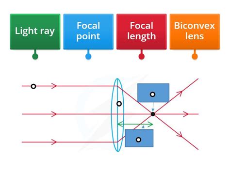 Convex Lens Basic Labelled Diagram