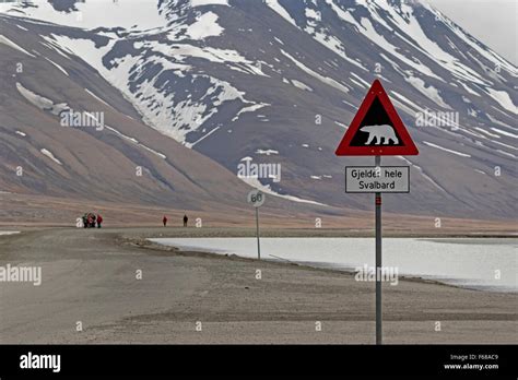 Polar Bear Warning Sign Longyearbyen Spitsbergen Island Svalbard