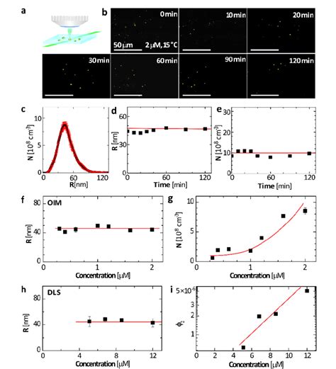 Mesoscopic Protein Rich Clusters Of P R Q A Schematic Of Oblique