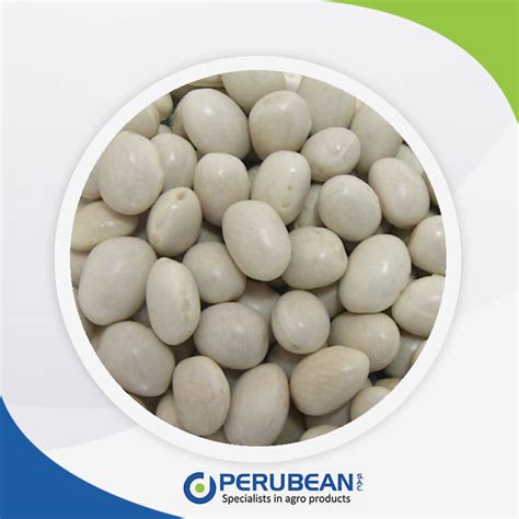 Frijol Caballero Caballero Beans Perubean Variedad De Menestras