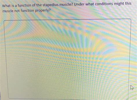 Solved What is a function of the stapedius muscle? Under | Chegg.com