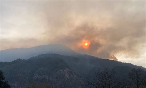 Incendio Forestal Afecta Hect Reas En El Sur De Nuevo Le N Notigram