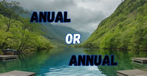 Anual or Annual: What’s the Difference