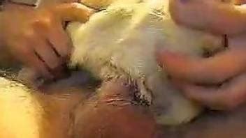 Hot Beast Getting Banged Brutally By A Hung Dude