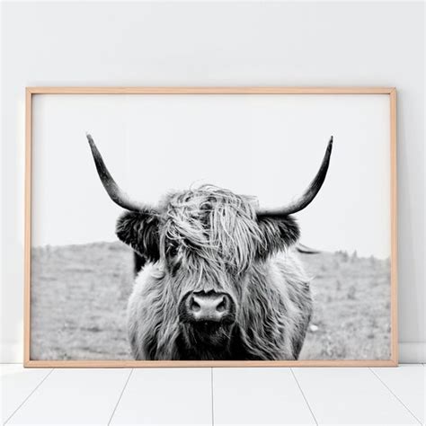 Highland Cow Print Digital Download Modern Farmhouse Wall Etsy