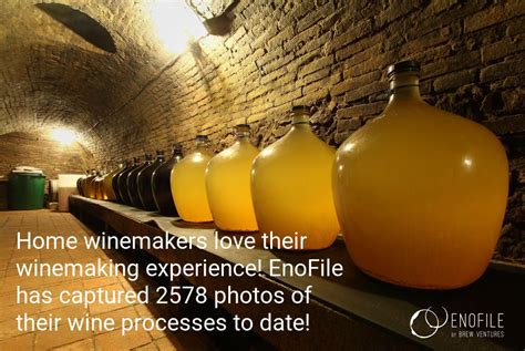 Home Winemakers Love Their Winemaking Experience Enofile Has Captured