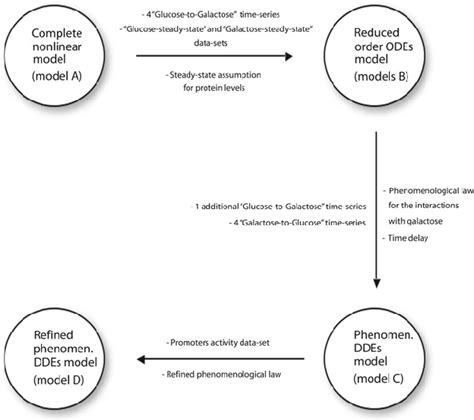 Scheme Of The Whole Modelling And Experimental Procedure Schematic