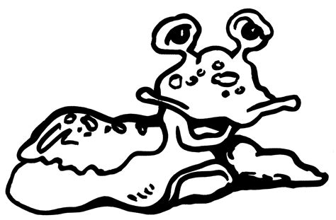 Sea Slug Coloring Page Coloring Pages