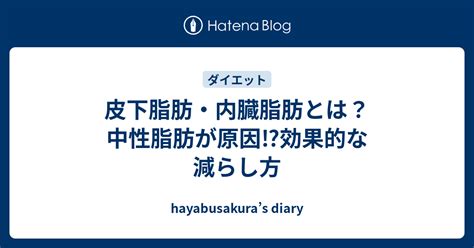 皮下脂肪・内臓脂肪とは？中性脂肪が原因⁉︎効果的な減らし方 Hayabusakuras Diary