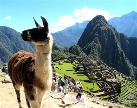 Exploring Cusco and Machu Picchu | Roaming Robert