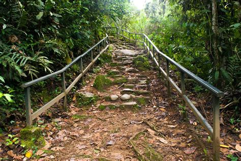 Junín Satipo la selva que encanta FOTOS Rumbos de Sol Piedra