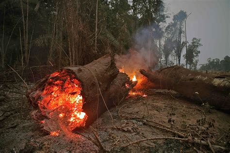 Incendios En El Amazonas Las Imágenes Más Impactantes De La