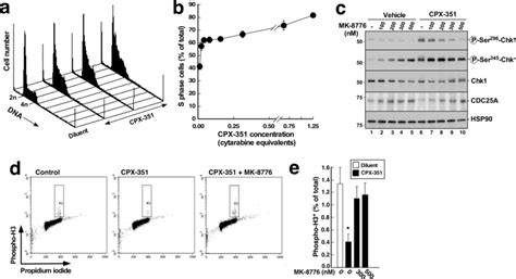 Cpx 351 Induces S Phase Arrest And Activation Of The Atrchk1 Pathway