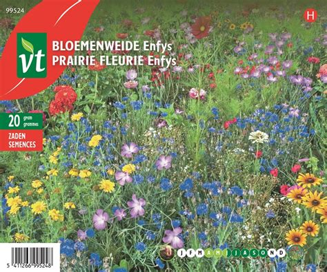 Catalogus Detail Bloemenweide Enfys