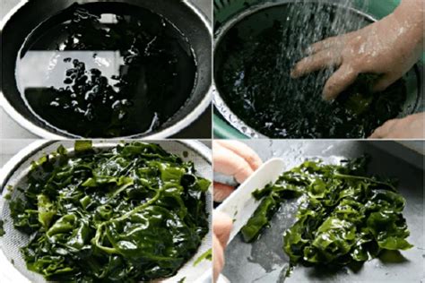 Porphyra Seaweed/ Dried Purple Laver Seaweed/ Laver Flakes - Buy Porphyra Algae,Dried Laver ...