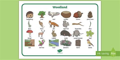 Woodland Vocabulary Mat Esl Woodland Vocabulary Twinkl