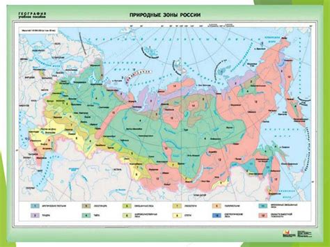 Карта россии с природными зонами россии