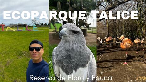 ¿qué Se Puede Hacer En El Ecoparque Talice Youtube