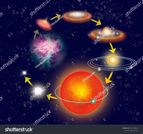 Life Cycle Star Scheme Stock Illustration 1037128681 | Shutterstock